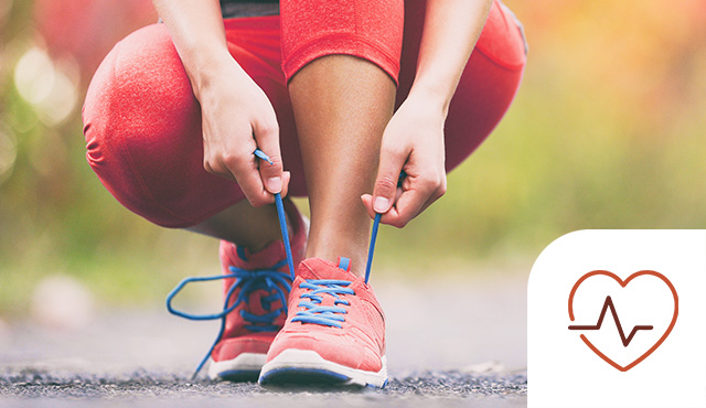 BIOLEV-Overview-General-2-2